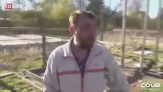 Скибиди - Вообще похуй.coub