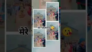 #viralvideo #kedar #youtubeshort #उत्तराखंड #महकाल #केदारनाथ_मंदिर #केदारनाथधाम #केदार #kedarnth