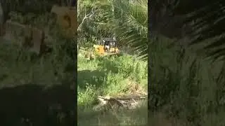 Making Our Tilapia Pond #dozer #tilapia #farm #agriculture #philippines