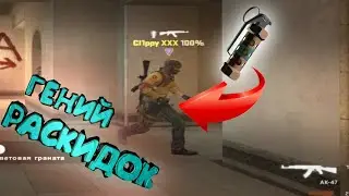 Гений расскидки | Cs:Go & Phasmophobia
