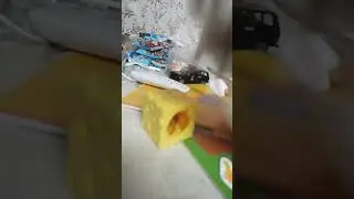 ooooooooooooo llllllllllll nnnnnnnnnnnnn