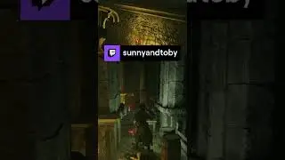 AH CHOOEY | sunnyandtoby on #Twitch