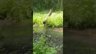 Источник ключевой воды на въезде в Лугу со стороны Питера