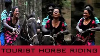 Tourist Horse Riding Kodaikanal