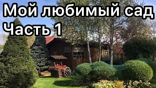 Мой любимый сад. Часть 1. Обзор