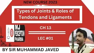 Types of Joints & role of Tendons and Ligaments | Chapter 13 Support & Movement |10th class BIOLOGY