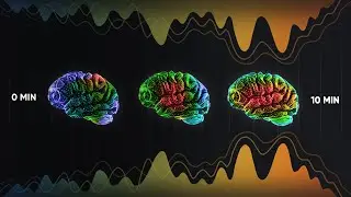 Next Gen Brainwave Entrainment - The neowake™ App