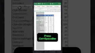 🤫 Secret EXCEL Shortcuts ✂️🪚