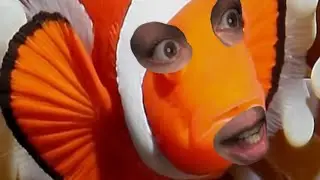 ELECTRO FISH