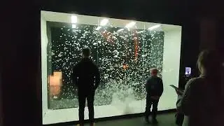 11 января 2024 г.