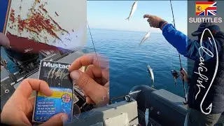 Fishing for cuttlefish, squid and mackerel from the boat, waiting for the snapper!