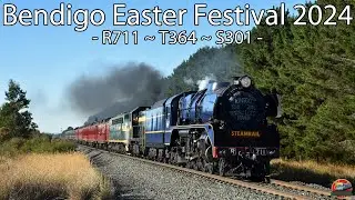 Steam Thunders to an Easter Festival | Steamrail - Bendigo Easter Festival 2024 | R711, S301 & T364