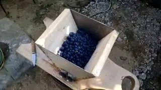 Дробилка для винограда своими руками