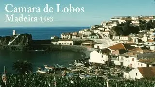 Camara de Lobos, Madeira 1983