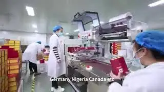hengkang video 1