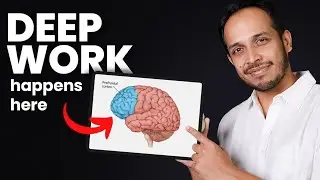 How to Deep Focus | Explained by Neurologist