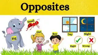 Opposite words in English || Opposite words for kids || Educational video || Antonym for kids