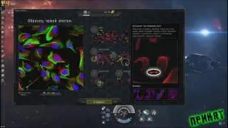 EVE Online : PLEX за неделю на Alfa. Или 20кк\час 