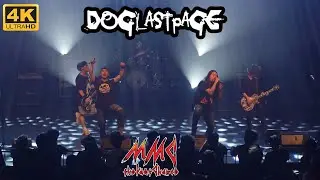 [4K] 도그 라스트 페이지(Dog Last Page) LIVE (2024.07.20,Yeongdeungpo Art Hall, Seoul)