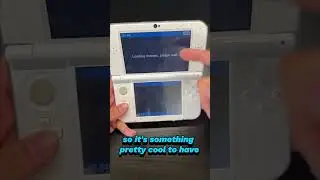 Custom Themes On The 3DS? 