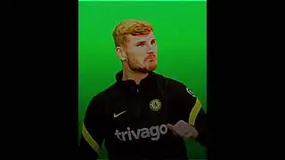 Werner Edit #8