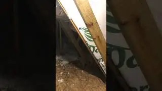 Creepy Attic