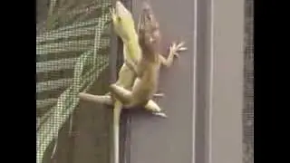 LizardLoveLongTime