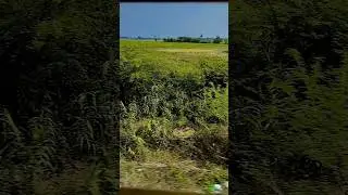 #viralvideo #love #railway 🚂   #trandingytshorts 2024 please subscribe like comment share now