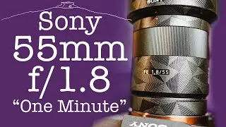 Sony Zeiss 55mm f/1.8 Prime Lens | 
