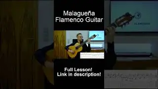 Malaguena Guitar #shorts
