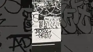 painting graffiti with Adek BTM full on page #graffitibombing   #throwies #art