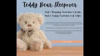 Teddy Bear Sleepover at the Vinton Library - November, 2022