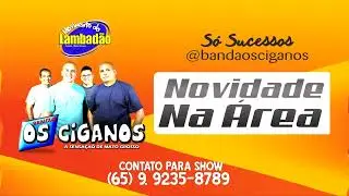 Banda Os Ciganos - Novidade na Área (Lambadão Agosto 2023) Só Sucessos.
