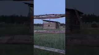Медведь залез в дом хотел напасть . Якутия 2024