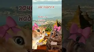 #отношения #юмор #говорящиекоты