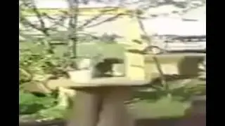 Cool Invention: Engineer's Ingenious Way Of Letting His Dog Play Catch By Himself!
