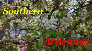 Southern Ardennes - 4K