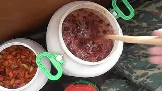 Домашняя вино из слив, сливовица ч.3.