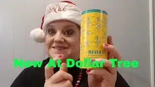 Dollar Tree Haul - Name Brand - Christmas & More
