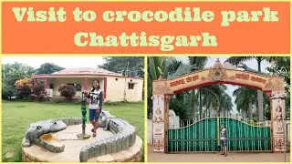 Visit to crocodile park in chhattisgarh | Must visit in Akaltara 