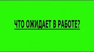 ЧТО ОЖИДАЕТ В РАБОТЕ?