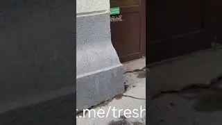 ЭТОТ УЖАС В САМОМ ЦЕНТРЕ НОВОСИБИРСКА 😵‍💫😲😲😲😲😲😲😲 #новосибирскинетолько