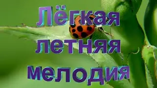 Лёгкая летняя мелодия