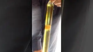 Gravity Test #shortsfeed #science #gravity