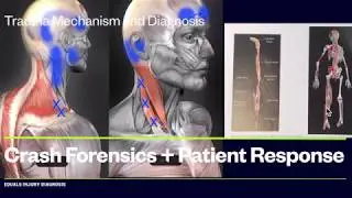 Integrity Medical Examinations PPN Treatment