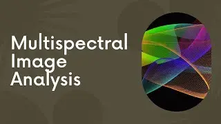 Multispectral Image Analysis