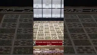 История Османской империи. Кто на самом деле стал причиной казни шехзаде Мустафы.