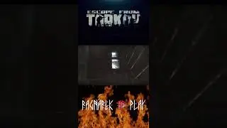 Лысая башка в Escape From Tarkov 