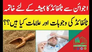 Typhoid Ka Ilaj || Typhoid Fever Treatment || Typhoid Fever Symptoms and Causes