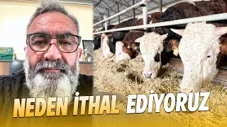 NEDEN HAYVAN İTHAL EDİYORUZ
